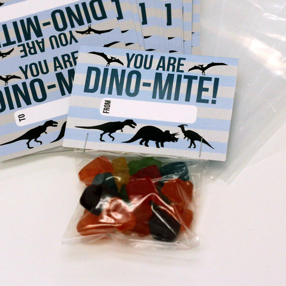 Valentine Cards with Goodie Bags (Set of 20) - "Dino Mite"