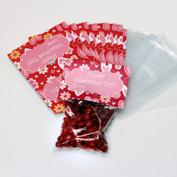 Valentine Cards with Goodie Bags (Set of 20) - "Happy Valentines Day"